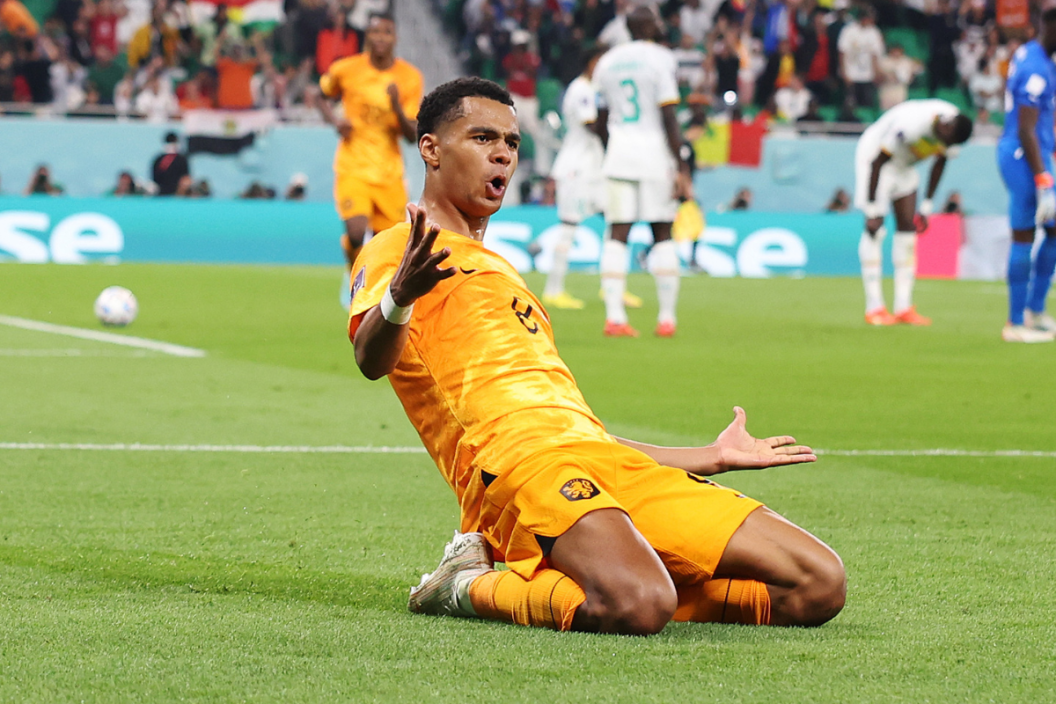 Cody Gakpo World Cup 2022